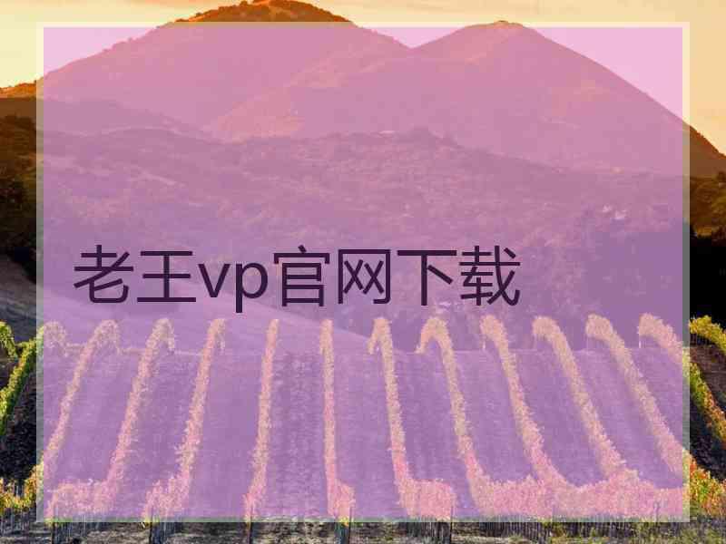 老王vp官网下载