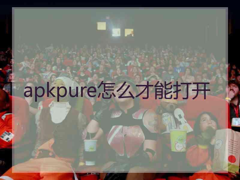 apkpure怎么才能打开