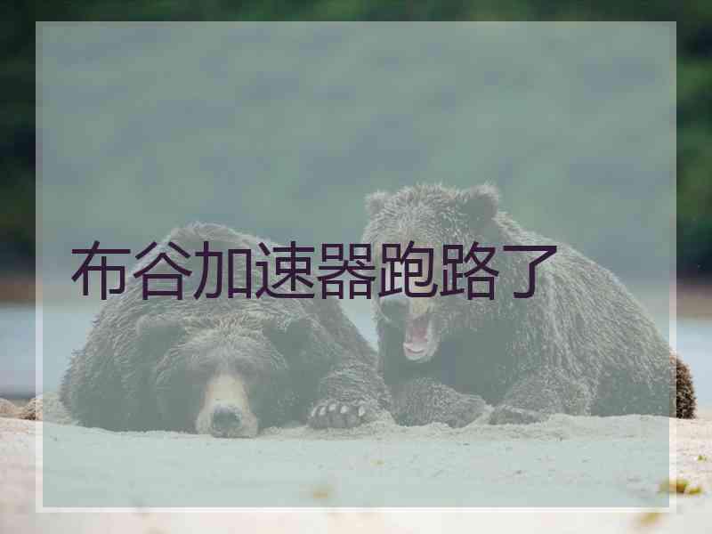 布谷加速器跑路了