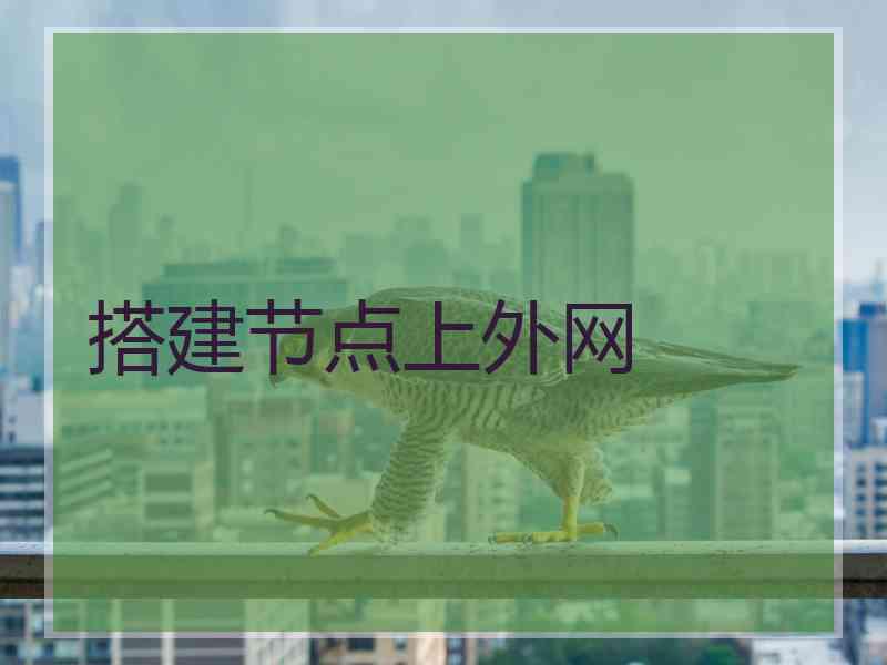 搭建节点上外网