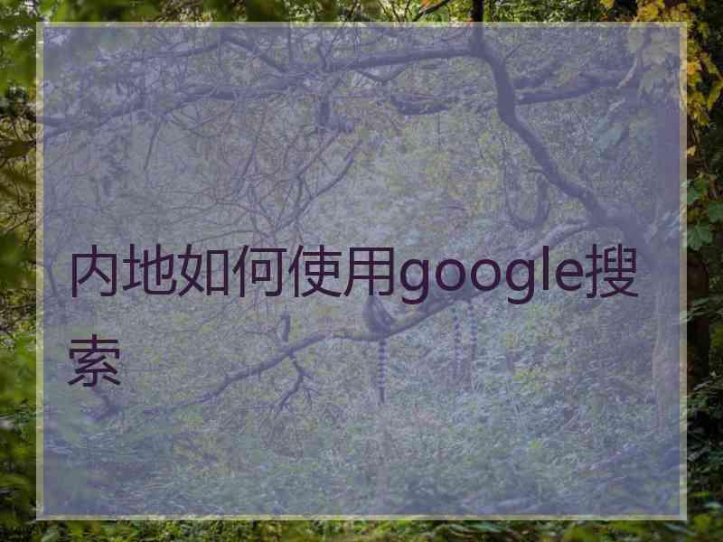 内地如何使用google搜索