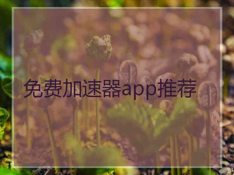 免费加速器app推荐