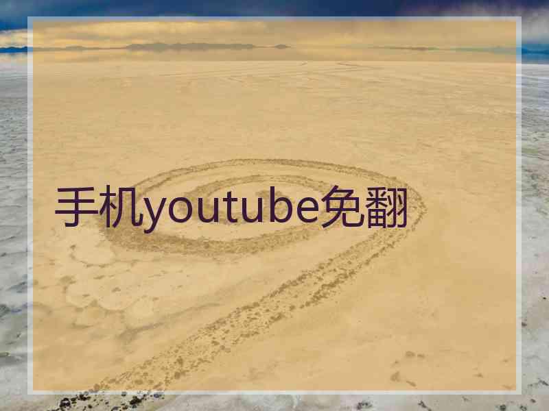 手机youtube免翻