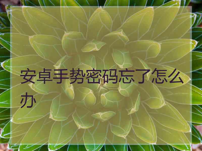 安卓手势密码忘了怎么办