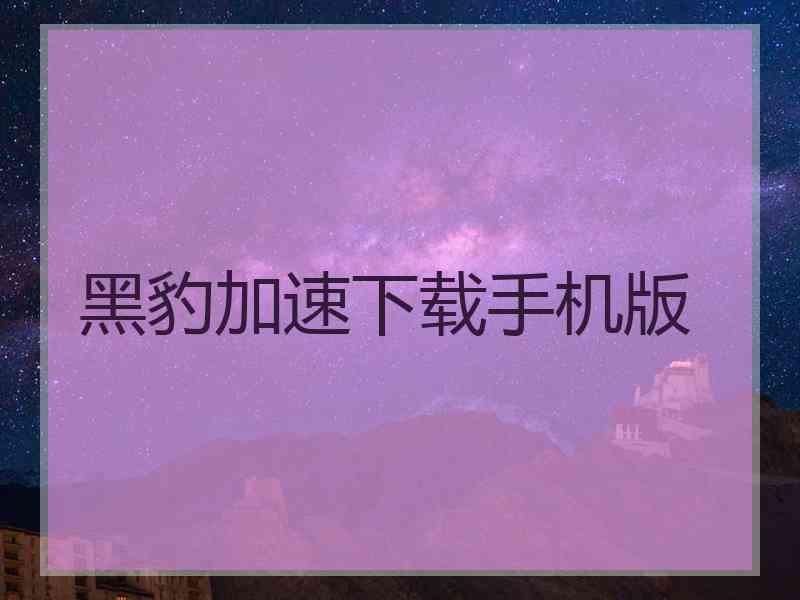 黑豹加速下载手机版