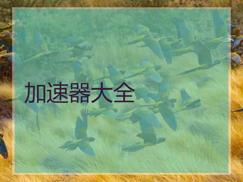 加速器大全