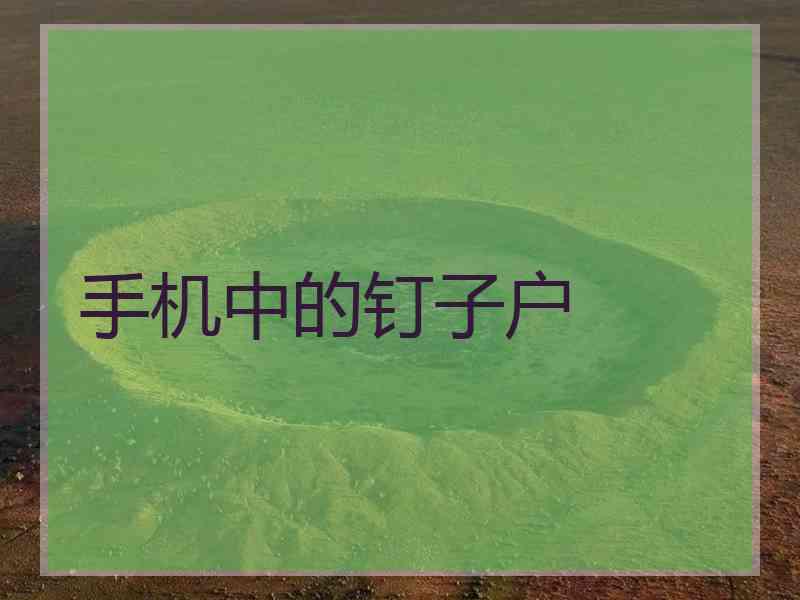 手机中的钉子户