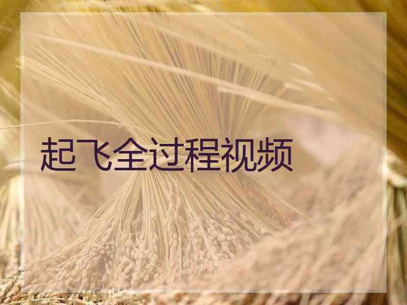 起飞全过程视频