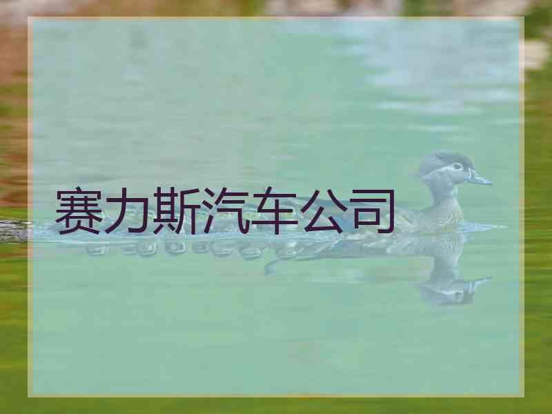 赛力斯汽车公司