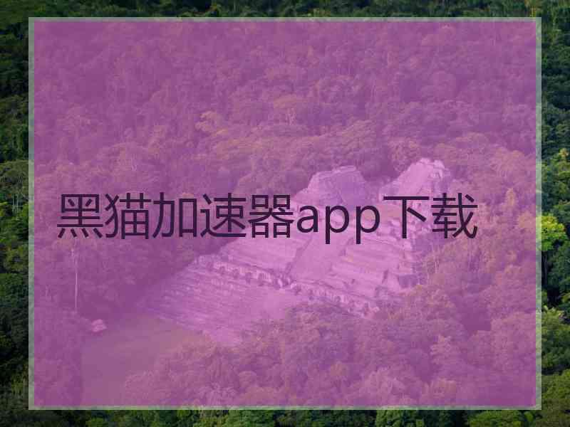 黑猫加速器app下载