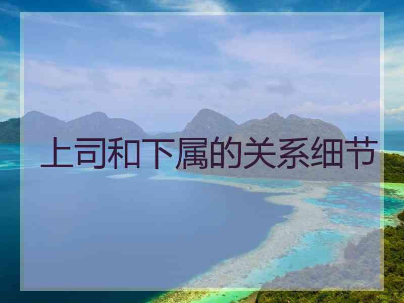 上司和下属的关系细节