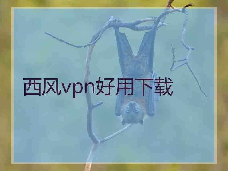 西风vpn好用下载