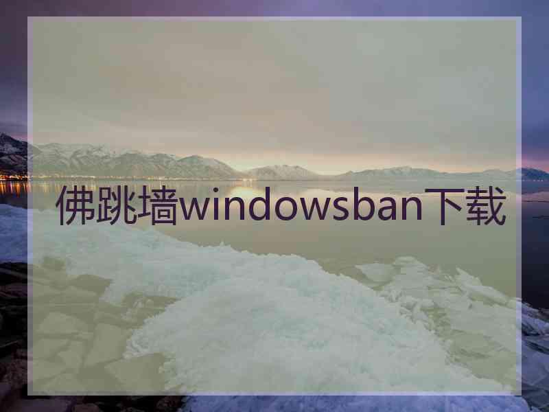 佛跳墙windowsban下载