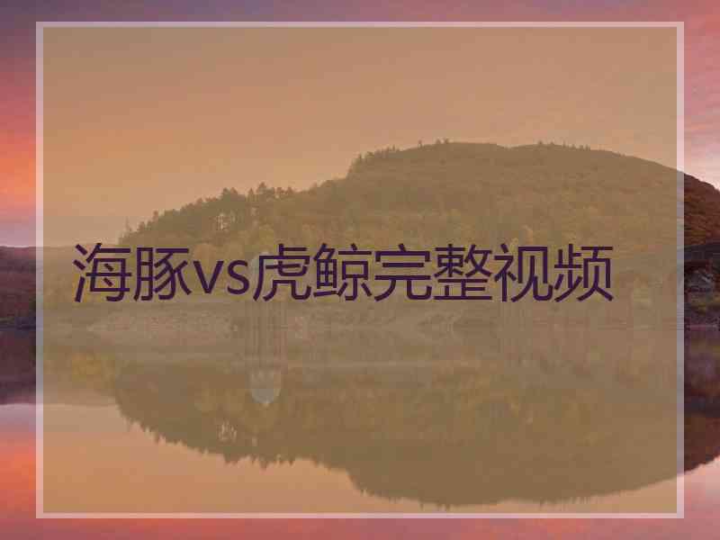 海豚vs虎鲸完整视频