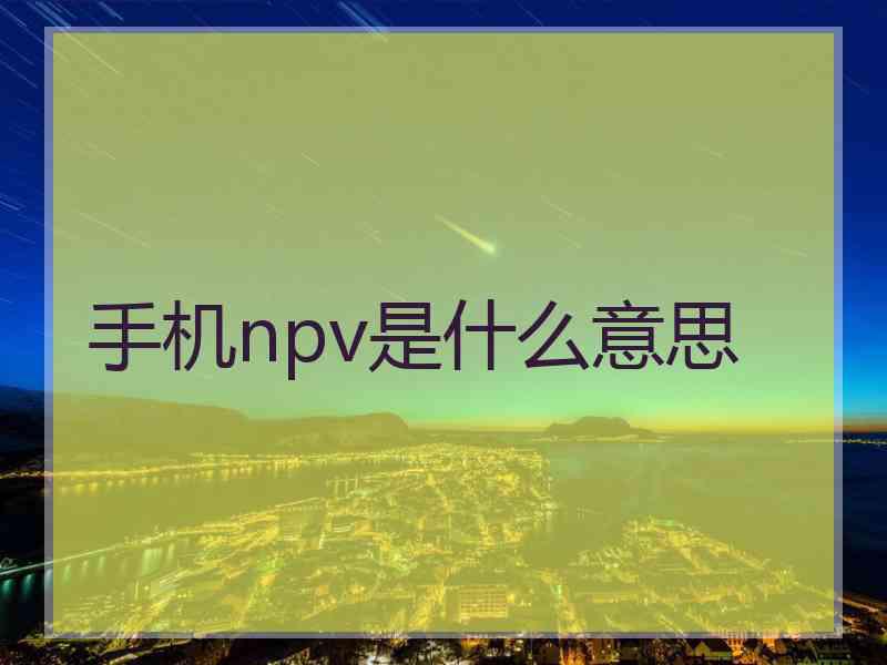 手机npv是什么意思