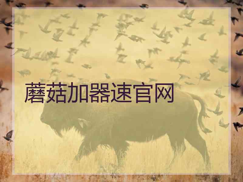 蘑菇加器速官网