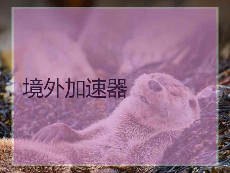 境外加速器