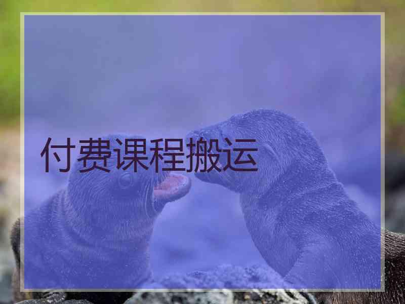 付费课程搬运