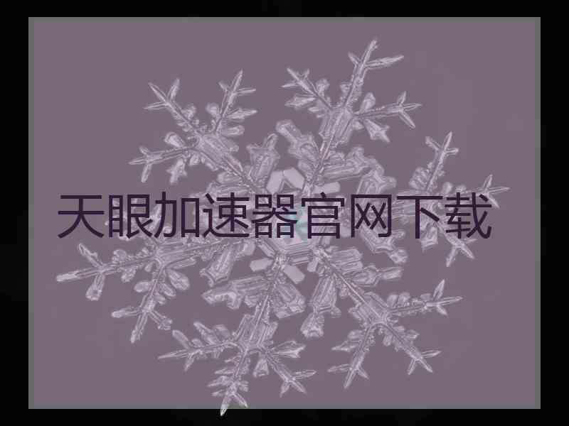 天眼加速器官网下载
