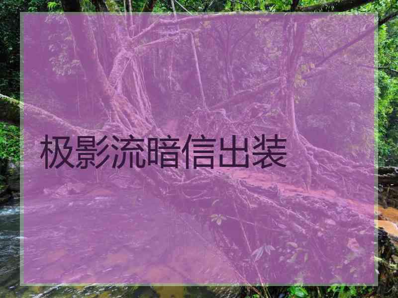 极影流暗信出装