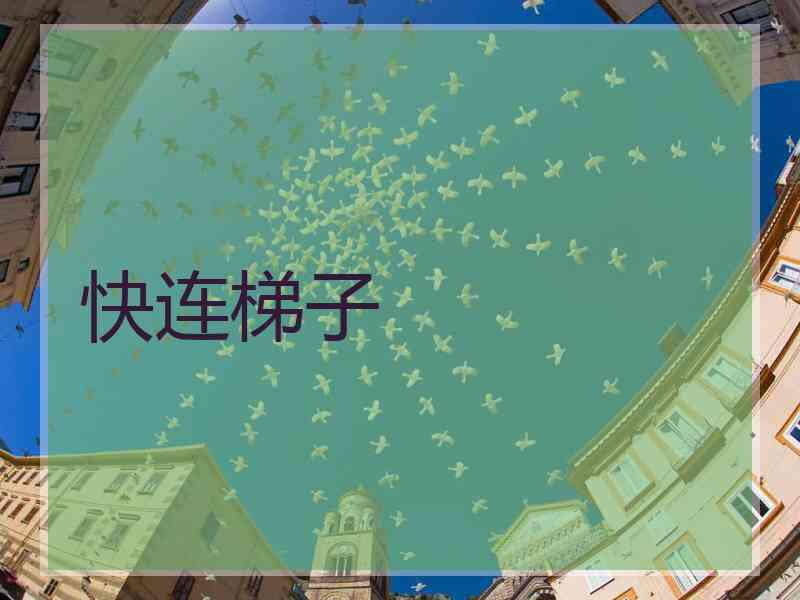 快连梯子