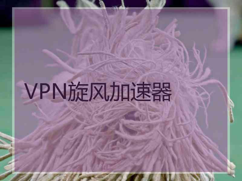 VPN旋风加速器