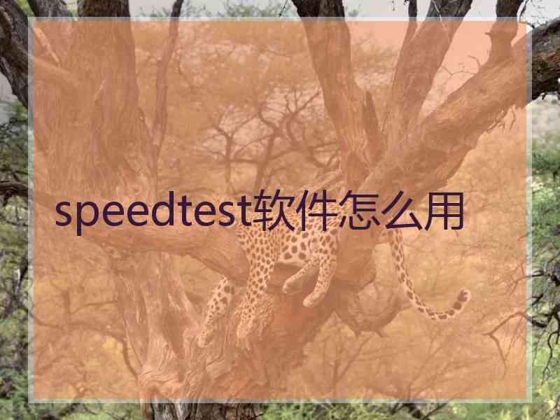 speedtest软件怎么用