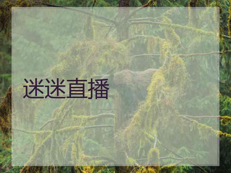 迷迷直播
