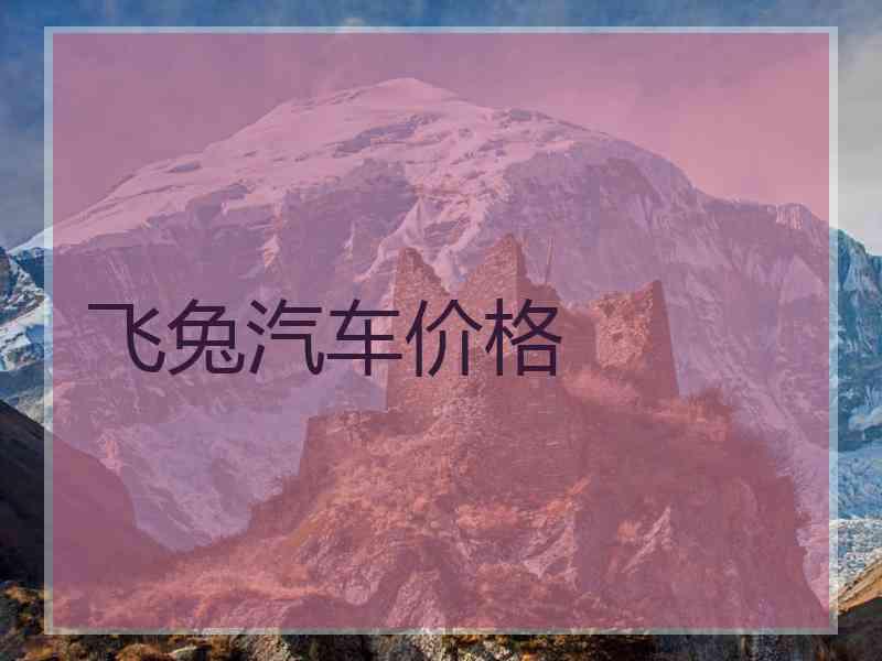 飞兔汽车价格