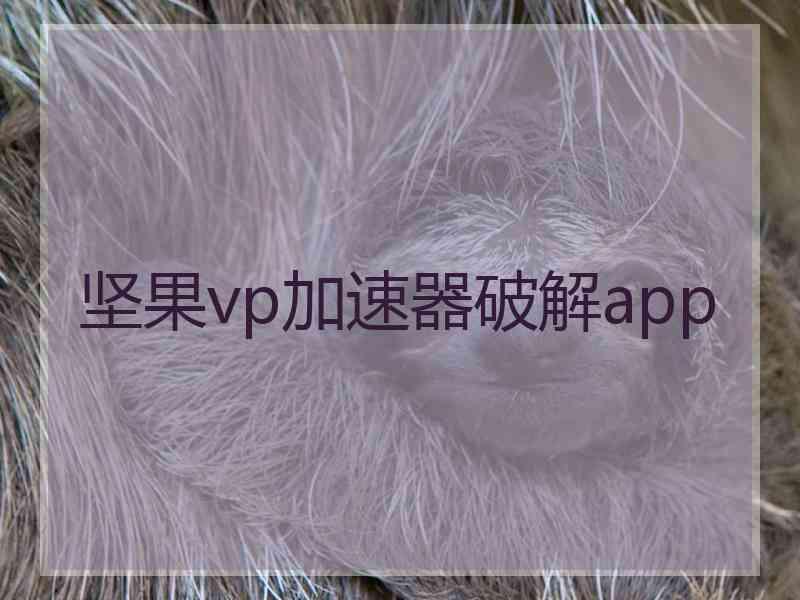 坚果vp加速器破解app
