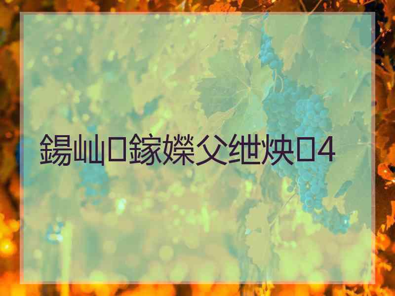 鍚屾鎵嬫父绁炴4