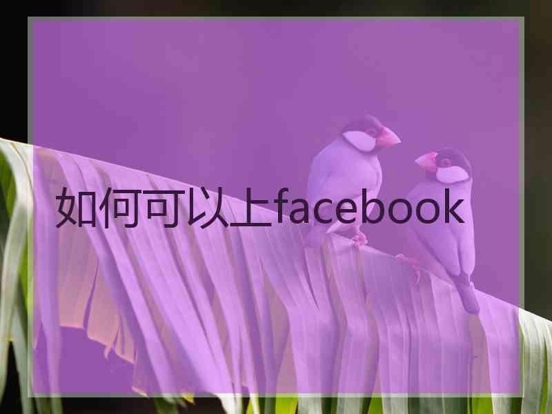 如何可以上facebook