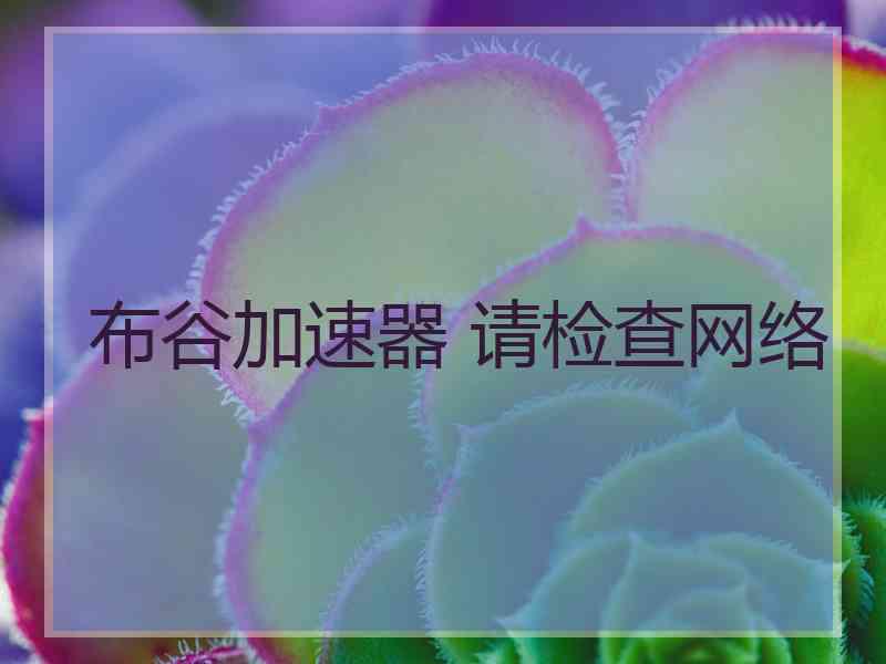 布谷加速器 请检查网络