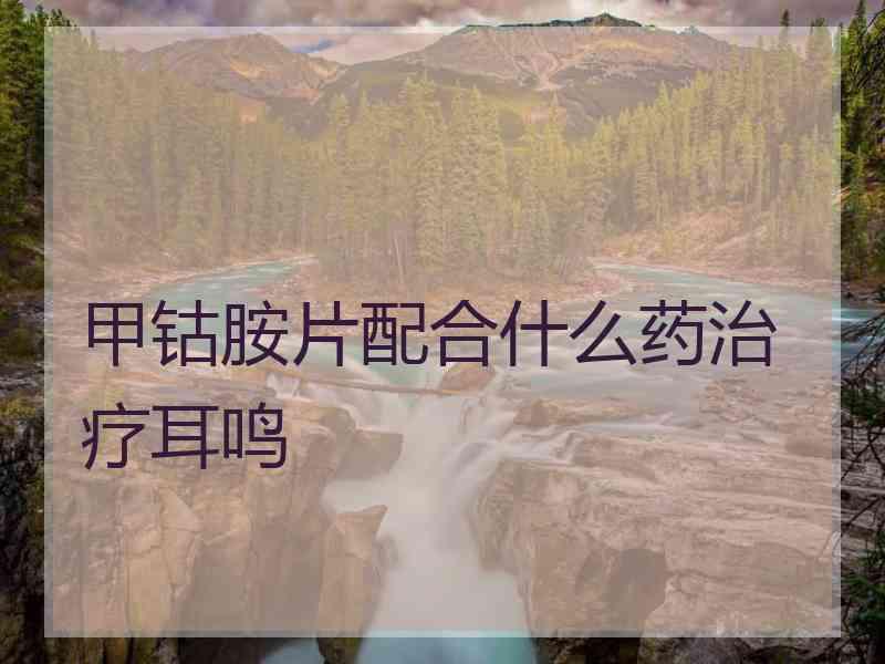 甲钴胺片配合什么药治疗耳鸣