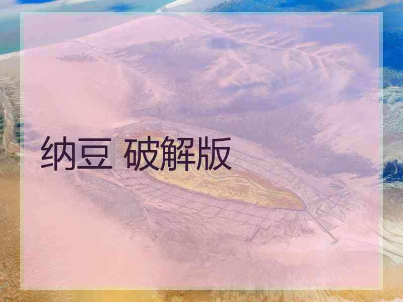 纳豆 破解版