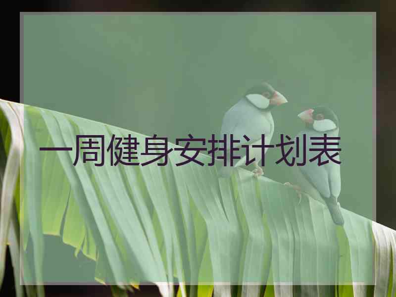 一周健身安排计划表