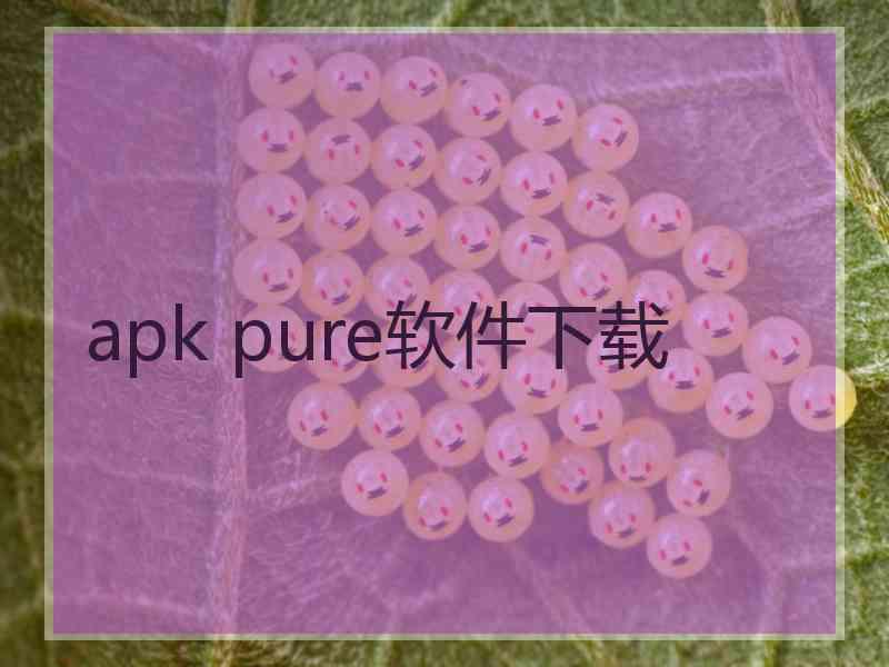 apk pure软件下载