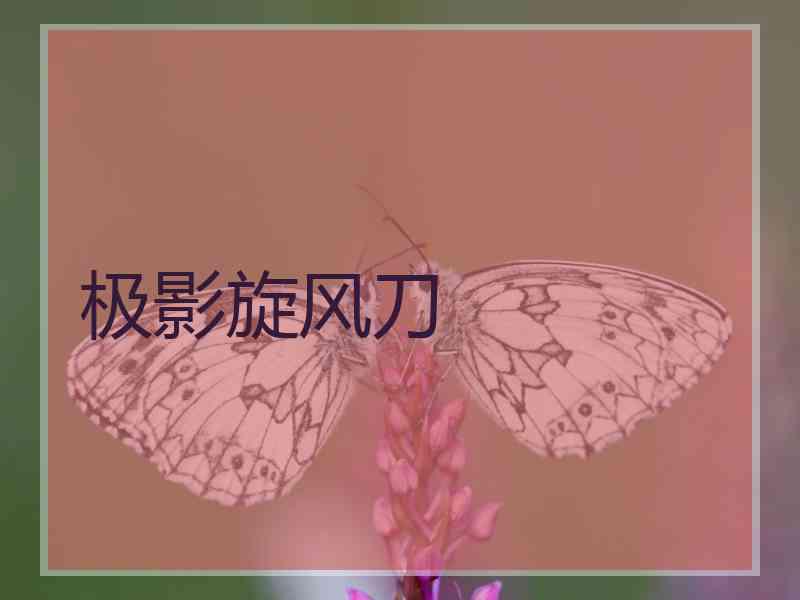 极影旋风刀