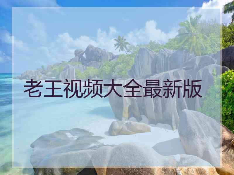 老王视频大全最新版