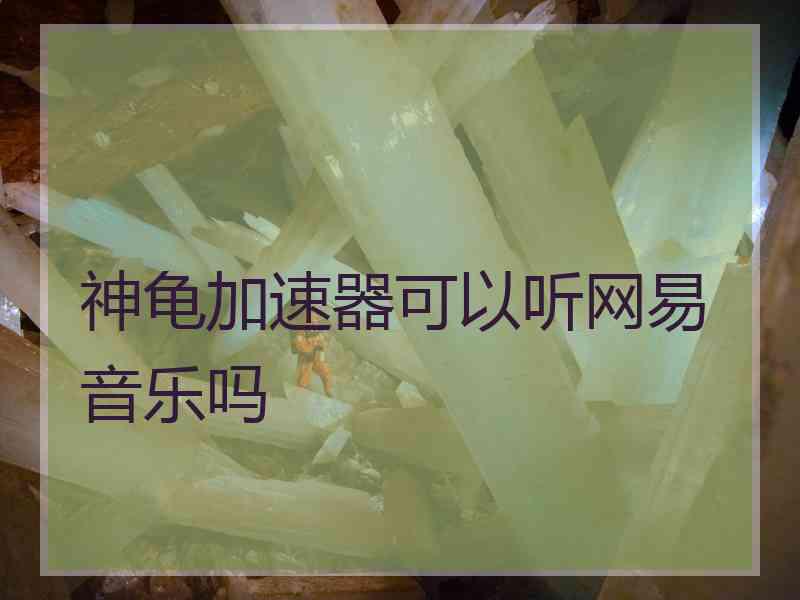 神龟加速器可以听网易音乐吗