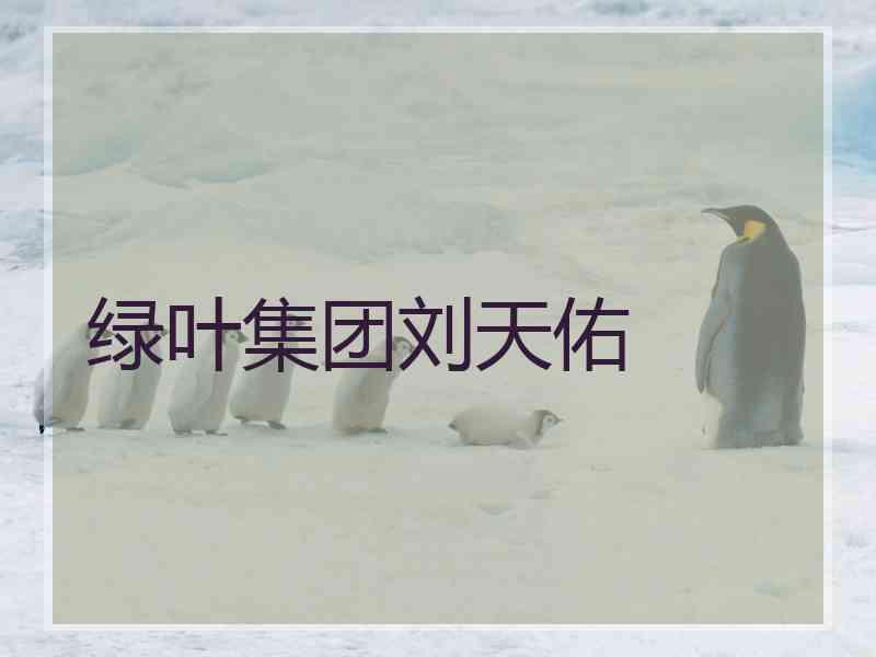 绿叶集团刘天佑