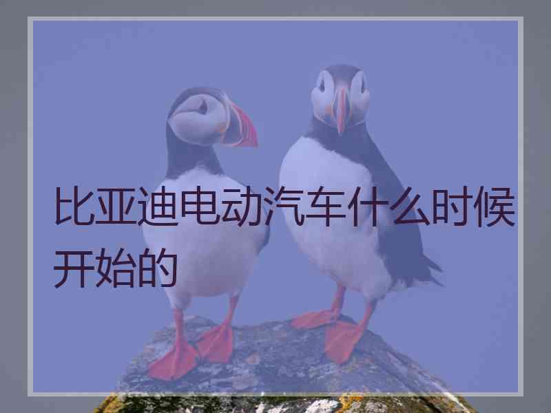 比亚迪电动汽车什么时候开始的