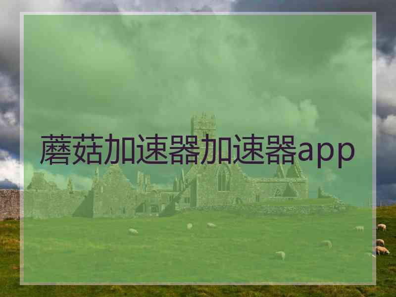 蘑菇加速器加速器app
