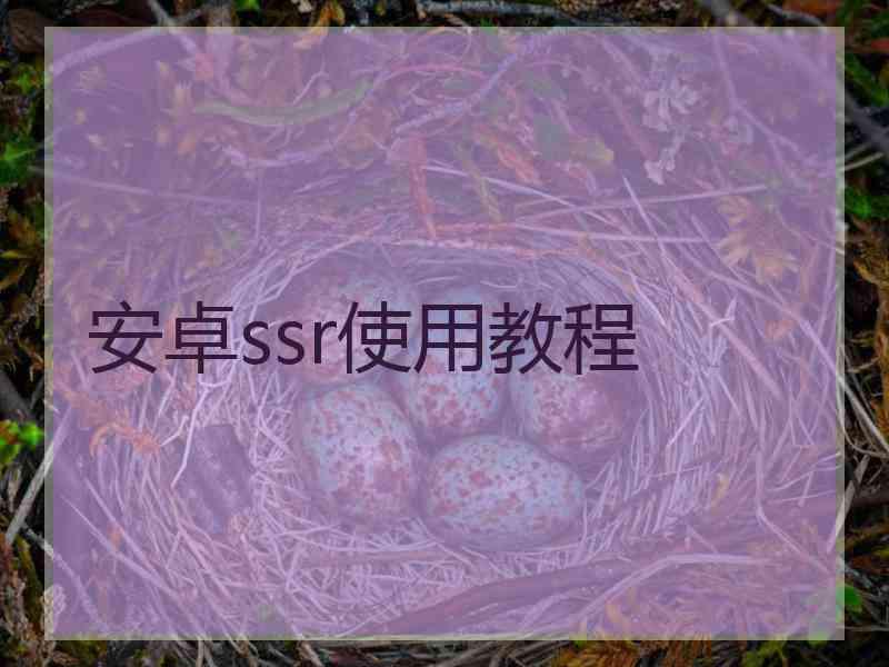 安卓ssr使用教程