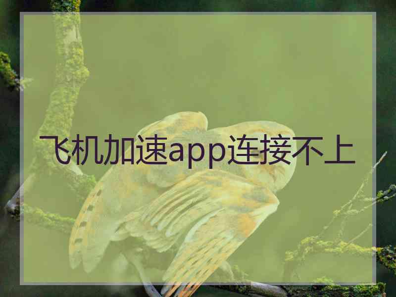 飞机加速app连接不上