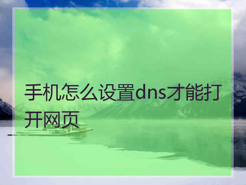 手机怎么设置dns才能打开网页