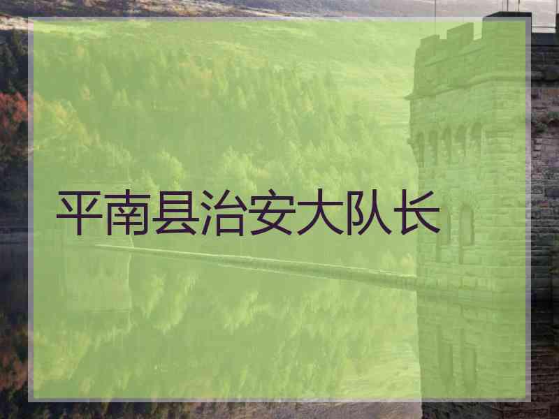 平南县治安大队长