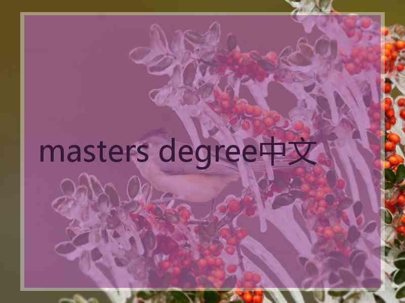 masters degree中文