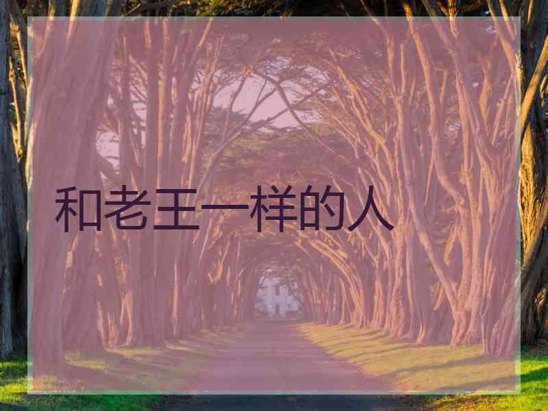 和老王一样的人