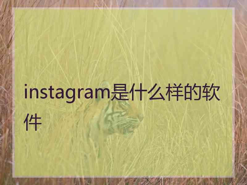 instagram是什么样的软件